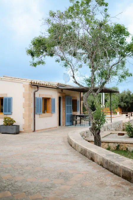 Finca S'Agret, Maison 4 personnes à Capdepera - Photo 2