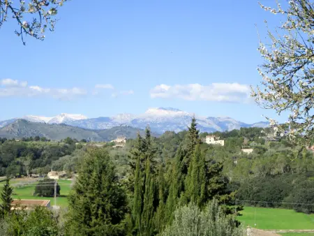 Mulet Llubi, Maison 4 personnes à Llubí - Photo 48