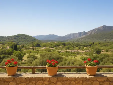 Urlaub Finca Mallorca Brücke, Maison 8 personnes à Campanet - Photo 3