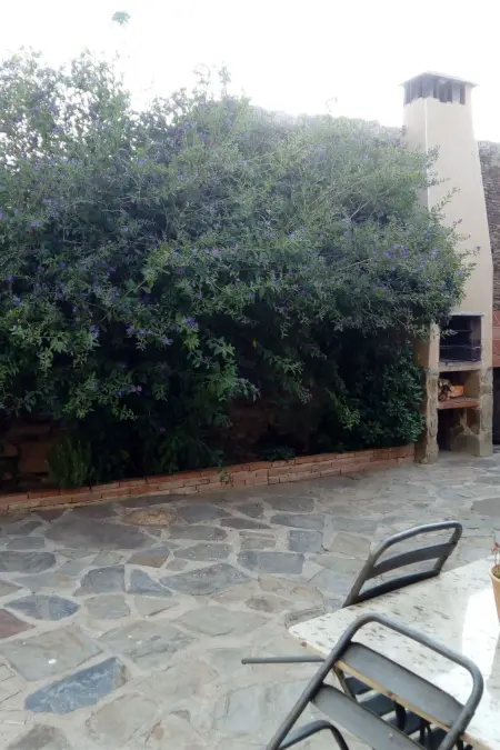 Villa Vieja Landhaus, Appartement 6 personnes à Botija - Photo 16
