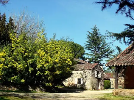 Domaine  Le Fournil  mit Jacuzzi, Maison 4 personnes à Gavaudun - Photo 10