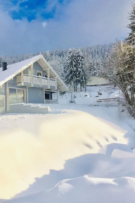 Maison 9 personnes à Gérardmer - Photo 40