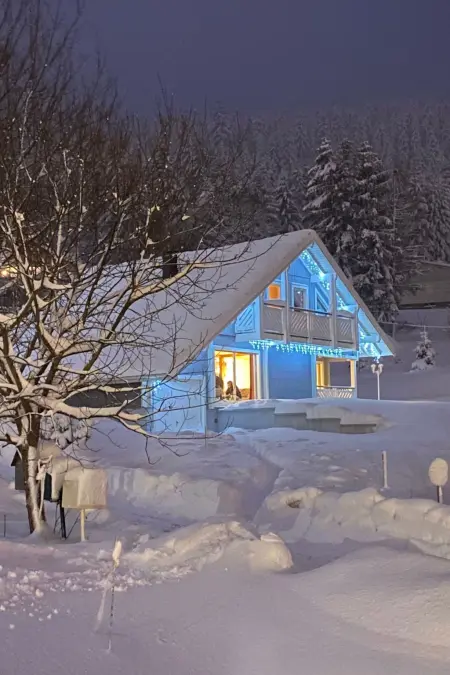 Maison 9 personnes à Gérardmer - Photo 44