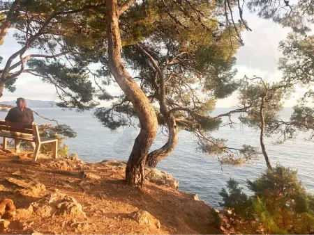 in Strandnähe, Appartement 5 personnes à Bandol - Photo 23