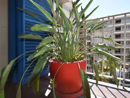 Le Gambetta, Appartement 3 personnes à Toulon - Photo 9
