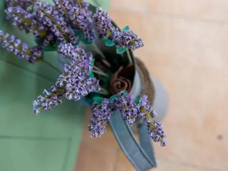 Appartement in Le Bar-Sur-Loup mit Eigenem Garten - Photo 13