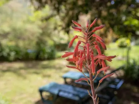 Appartement in Le Bar-Sur-Loup mit Eigenem Garten - Photo 14