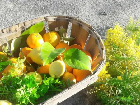 Appartement in Le Bar-Sur-Loup mit Eigenem Garten - Photo 24