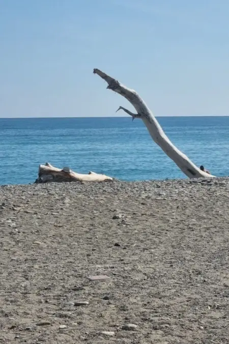 Wohnung mit Garten, wenige Minuten vom Meer entfernt - Photo 22