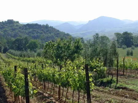 L'Angolo, Appartement 4 personnes à Volterra - Photo 24