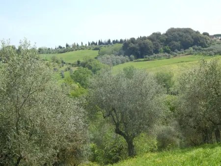 Wohnung auf dem Lande, 3 km vom Zentrum von Siena entfernt - Photo 8