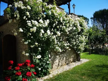 Altes Haus in Rotecastello mit großem Pool, Maison 7 personnes à San Venanzo - Photo 2