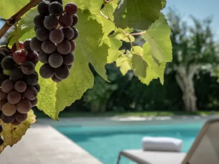 Ferienvilla 'Altra Metà, Maison 12 personnes à Gagliano del Capo - Photo 34