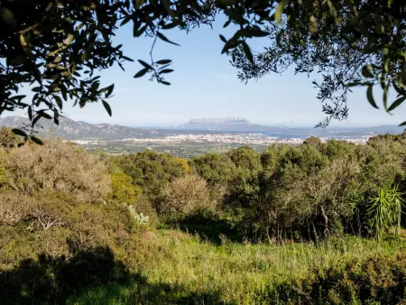 Altes gallurisches Bauernhaus mit Blick auf Olbia - Photo 34