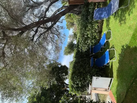 Wohnung  Alter Olivenbaum  mit Garten, Appartement 4 personnes à Agrustos - Photo 42