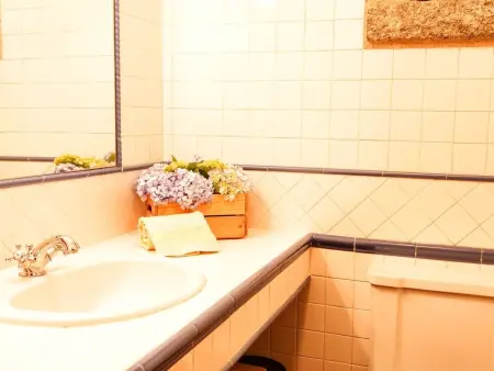 Flusshaus - Casas do Rio Tora, Maison 8 personnes à Arcos de Valdevez - Photo 21