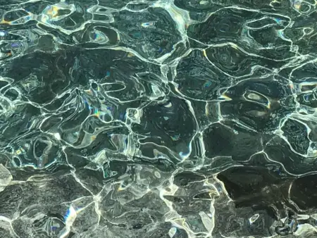 mit Blick auf das Wasser, Appartement 4 personnes à Madeira Funchal - Photo 11
