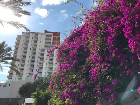 mit Blick auf das Wasser, Appartement 4 personnes à Madeira Funchal - Photo 13