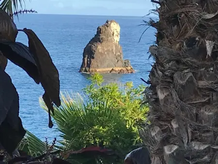 mit Blick auf das Wasser, Appartement 4 personnes à Madeira Funchal - Photo 28