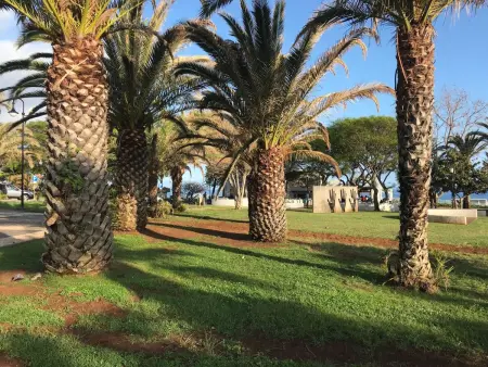 mit Blick auf das Wasser, Appartement 4 personnes à Madeira Funchal - Photo 29