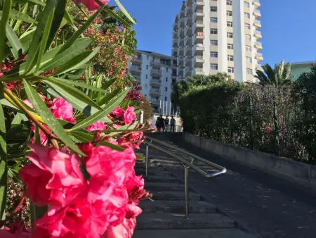 mit Blick auf das Wasser, Appartement 4 personnes à Madeira Funchal - Photo 17