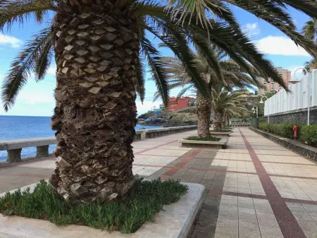 mit Blick auf das Wasser, Appartement 8 personnes à Madeira Caniço - Photo 2