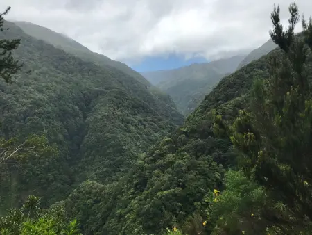 mit Blick auf das Wasser, Appartement 8 personnes à Madeira Caniço - Photo 6