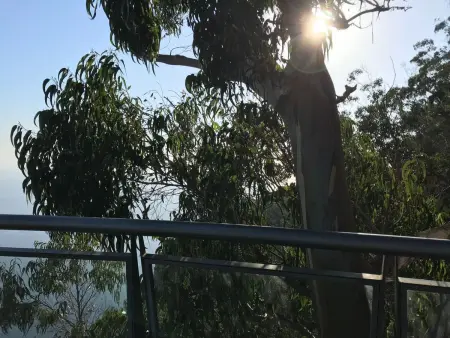 mit Blick auf das Wasser, Appartement 8 personnes à Madeira Caniço - Photo 16