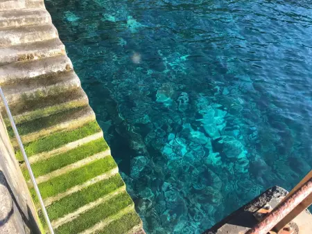 mit Blick auf das Wasser, Appartement 8 personnes à Madeira Caniço - Photo 31
