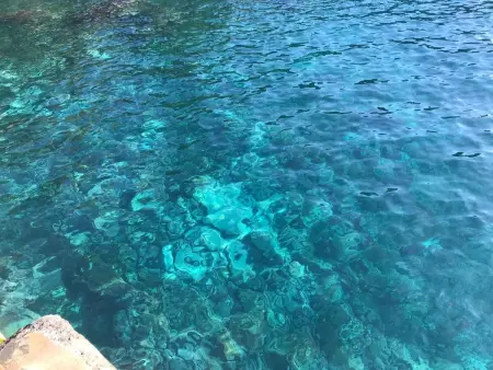 mit Blick auf das Wasser, Appartement 8 personnes à Madeira Caniço - Photo 32