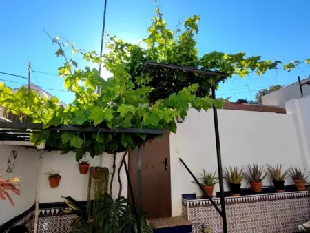 Charmante maison andalouse proche plage avec patio privatif - Photo 2