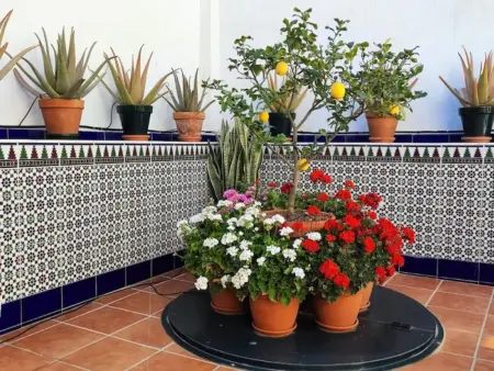 Charmante maison andalouse proche plage avec patio privatif - Photo 16