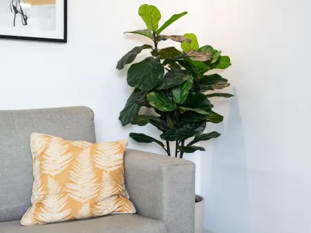 Charmant appartement indépendant avec cour privée à Málaga - Photo 9