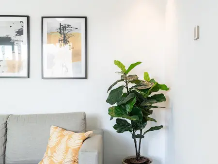 Charmant appartement indépendant avec cour privée à Málaga - Photo 12