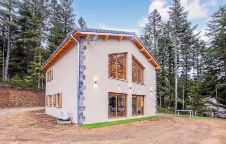 Maison 10 personnes à Chambon sur Lignon - Photo 8