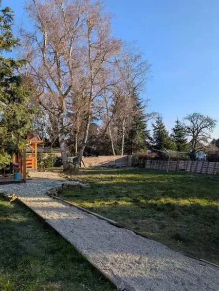 Chalet charmant à Lohr - Terrasse & Jardin, Chalet 4 personnes à Lohr - Photo 23