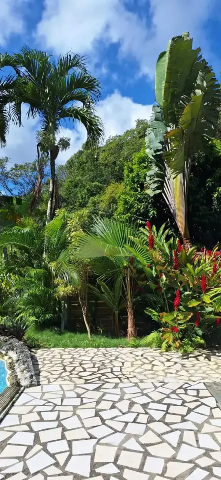 Charmant studio avec vue jardin à Morne-à-l'Eau, 30 m² - Photo 15