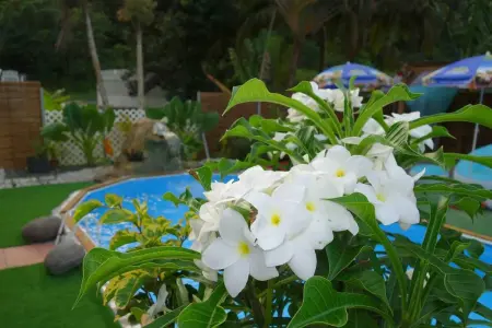 Appartement cosy près de Morne-à-l'Eau avec piscine - Photo 23