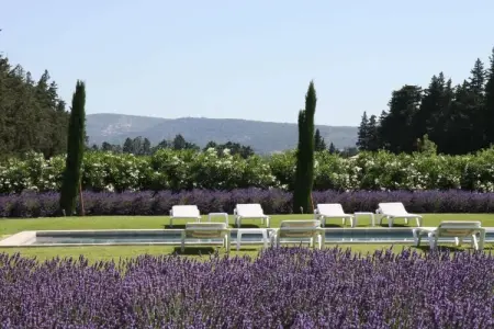 Bast de Charme L141, Piscine privée. Séjournez au cœur du Luberon - Photo 9
