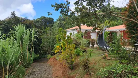 Studio charmant avec piscine privée à Rivière-Pilote 25 m² - Photo 2