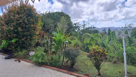 Studio charmant avec piscine privée à Rivière-Pilote 25 m² - Photo 10