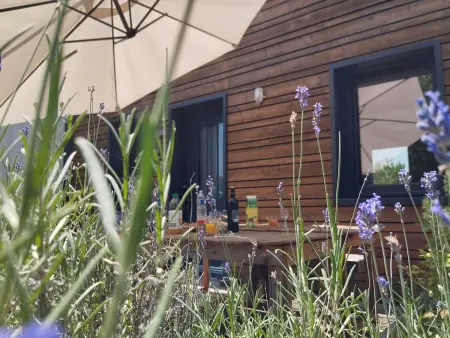 Maison éco-conçue près de Sarlat, 7 pers, Wifi, animaux OK - Photo 1
