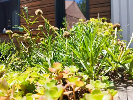 Maison éco-conçue près de Sarlat, 7 pers, Wifi, animaux OK - Photo 20