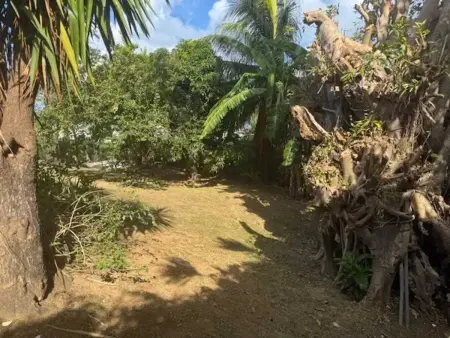 Studio charmant avec vue mer à Tartane, 22 m², terrasse. - Photo 11