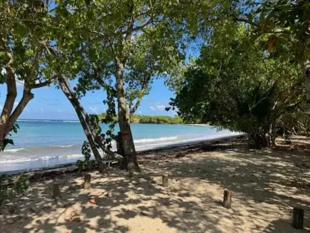 Studio douillet avec vue sur la mer à Tartane - 22 m² - Photo 5