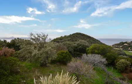 Belle maison au bord de la mer, Maison 8 personnes à Farinole - Photo 11