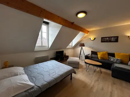 Studio à La Roche-Posay avec Piscine et WIFI, Appartement 4 personnes à La Roche Posay - Photo 2