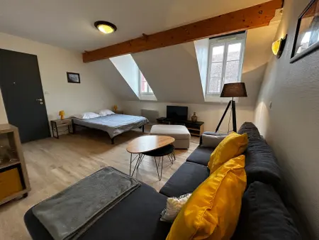 Studio à La Roche-Posay avec Piscine et WIFI, Appartement 4 personnes à La Roche Posay - Photo 5