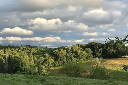 The Grange, Maison en bois au cœur de la nature - Photo 38