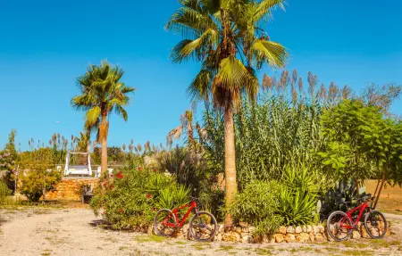 Holiday home Finca Ses Tanques, Maison 8 personnes à Algaida - Photo 6